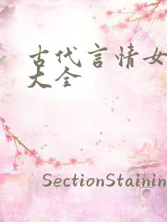 古代言情女小说大全