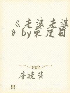 《老婆老婆老婆》by东度日讲的什么