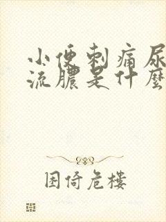 小便刺痛尿道口流脓是什么原因