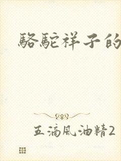 骆驼祥子的小说