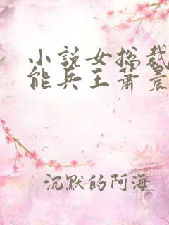 小说女总裁的全能兵王萧晨