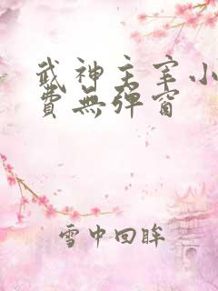 武神主宰小说免费无弹窗