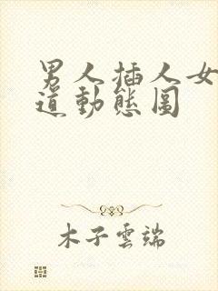 男人插人女人阴道动态图