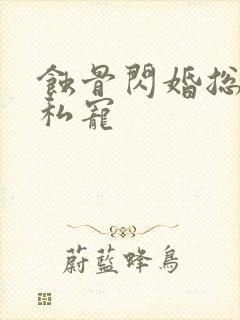 蚀骨闪婚总裁的私宠