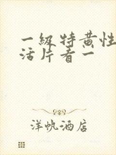 一级特黄性色生活片看一