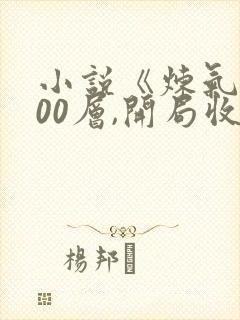 小说《炼气3000层,开局收女帝为徒》