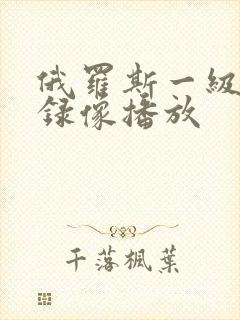 俄罗斯一级黄色录像播放