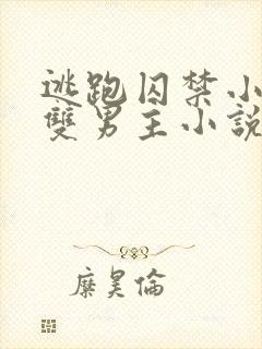 逃跑囚禁小少爷双男主小说推荐完结文