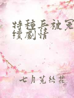 特种兵被冤枉后续剧情