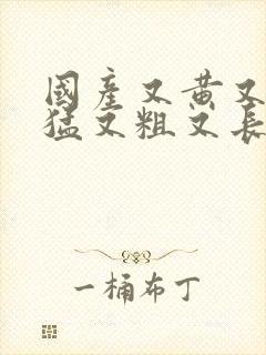 国产又黄又大又猛又粗又长