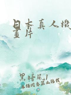 日本真人机甲动画片