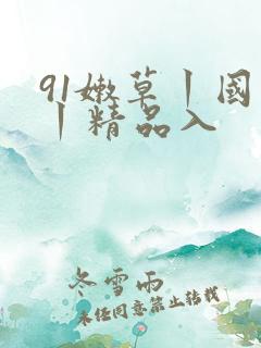 91嫩草丨国产丨精品入