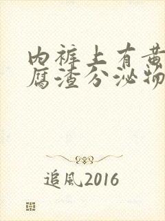 内裤上有黄色豆腐渣分泌物