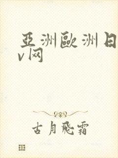 亚洲欧洲日韩av网