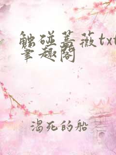 触碰蔷薇txt笔趣阁