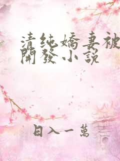 清纯娇妻被别人开发小说