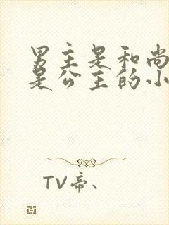 男主是和尚女主是公主的小说