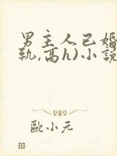 男主人已婚(出轨,高h)小说