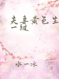 夫妻黄色生活片一级