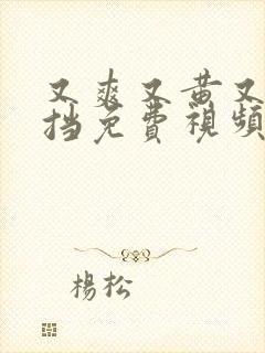 又爽又黄又无遮挡免费视频