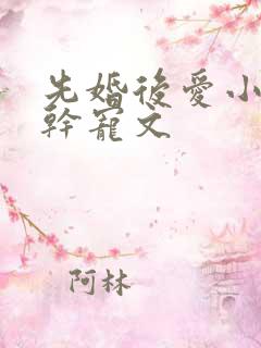 先婚后爱小说高干宠文