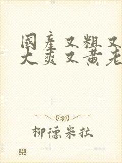 国产又粗又猛又大爽又黄老大爷