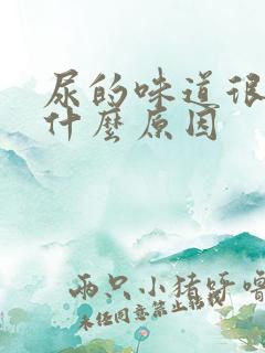 尿的味道很重是什么原因