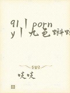 91丨porny丨九色蝌蚪