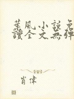 叶风小说免费阅读全文无弹窗