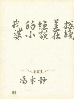 我的绝美总裁老婆小说在线阅读