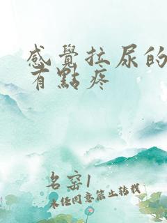 感觉拉尿的地方有点疼