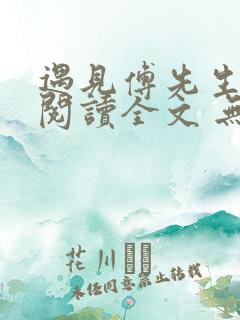 遇见傅先生免费阅读全文 无弹窗