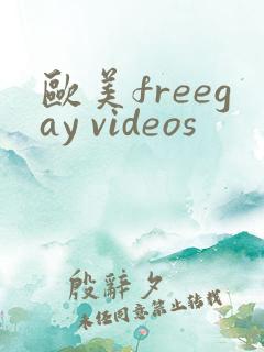 欧美freegay videos