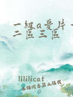 一级a爱片一区二区三区