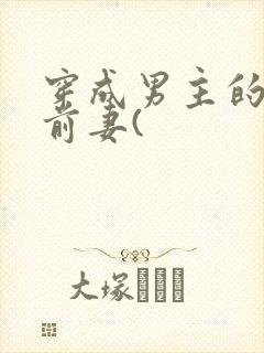 穿成男主的炮灰前妻(