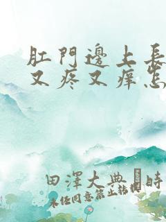 肛门边上长疙瘩又疼又痒怎么回事