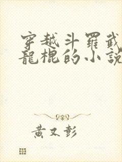 穿越斗罗武魂囚龙棍的小说