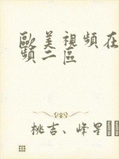 欧美视频在线视频二区