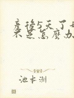 产后5天了奶水不足怎么办