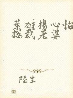 叶雄杨心怡冰山总裁老婆