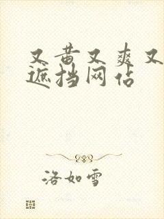 又黄又爽又色无遮挡网站