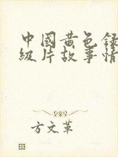 中国黄色录像一级片故事情节