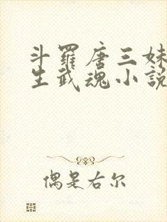 斗罗唐三妹妹双生武魂小说