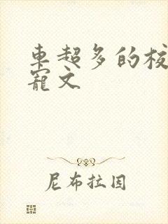 车超多的校园甜宠文