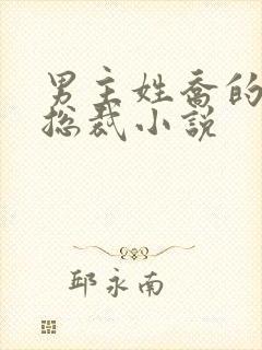 男主姓乔的霸道总裁小说