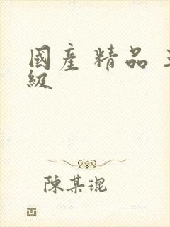 国产 精品 三级