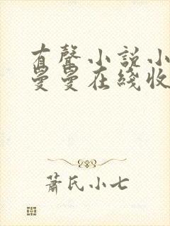 有声小说小仙儿曼曼在线收听