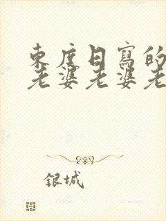 东度日写的小说老婆老婆老婆