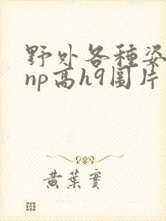 野外各种姿势被np高h9图片