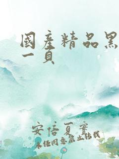 国产精品黑丝第一页